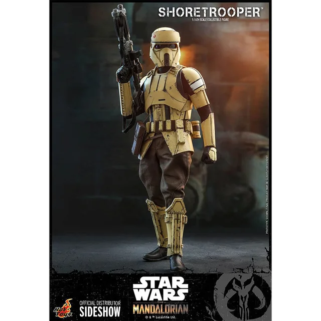 Hot Toys Star Wars The Mandalorian Action Figure 1/6 Shoretrooper 30 cm