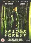 Spider Forest Image 1
