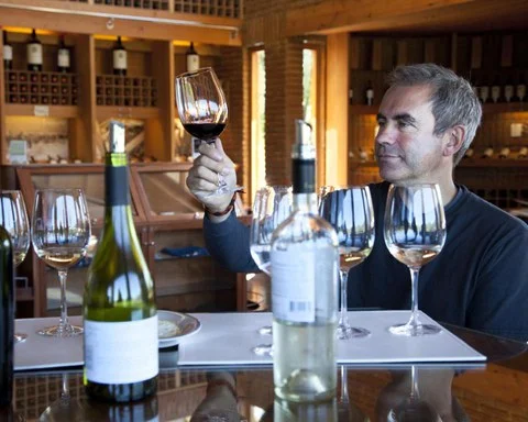 Two for the Price of One Demystifying Wine Course Image 1