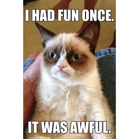 Grumpy Cat - Maxi Poster - 61 x 91.5cm Image 1