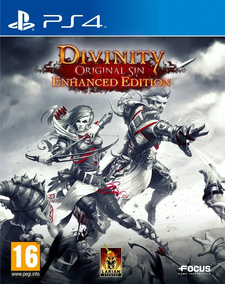 Divinity: Original Sin - Enhanced Edition Image 1