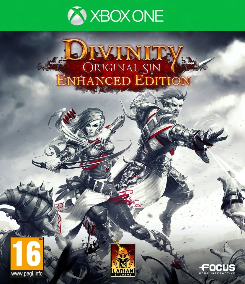 Divinity: Original Sin - Enhanced Edition Image 1