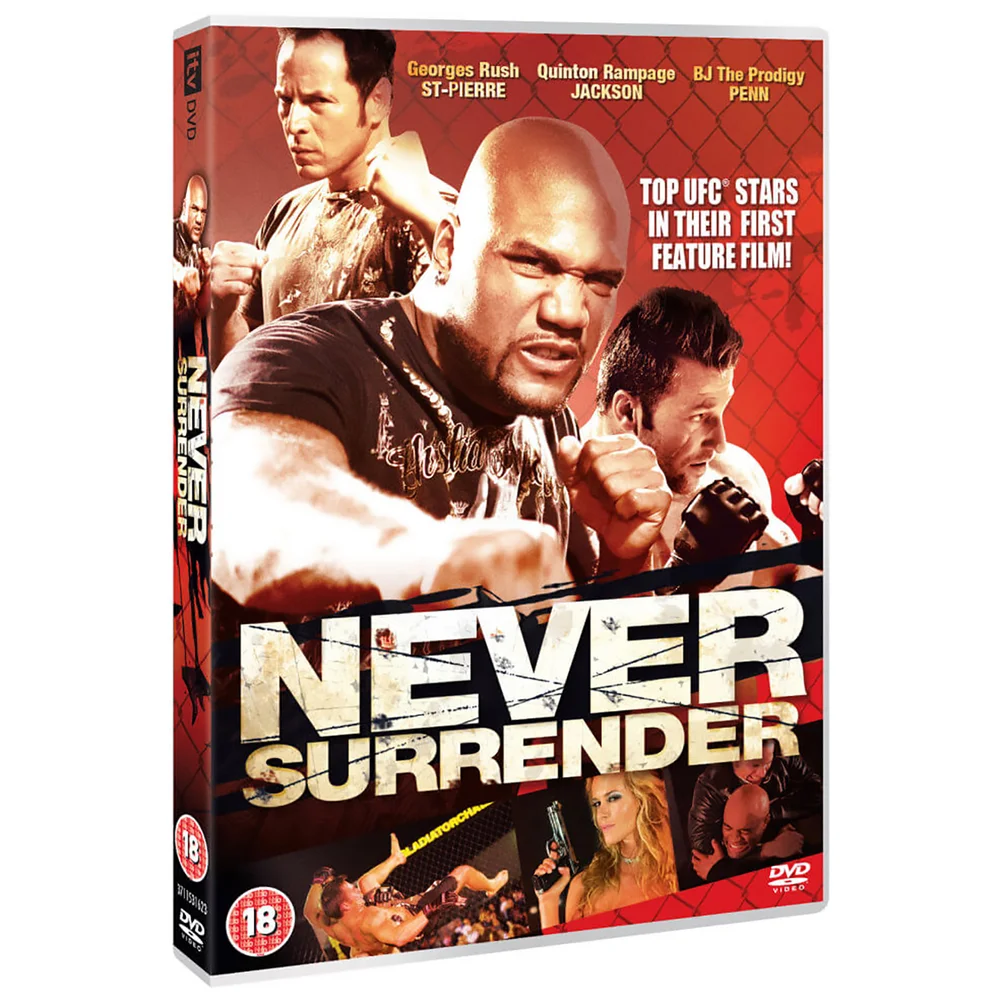 Never Surrender Image 1