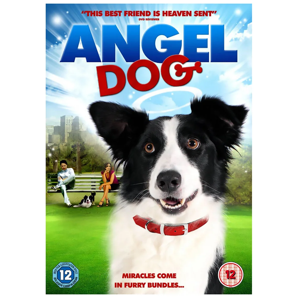 Angel Dog Image 1