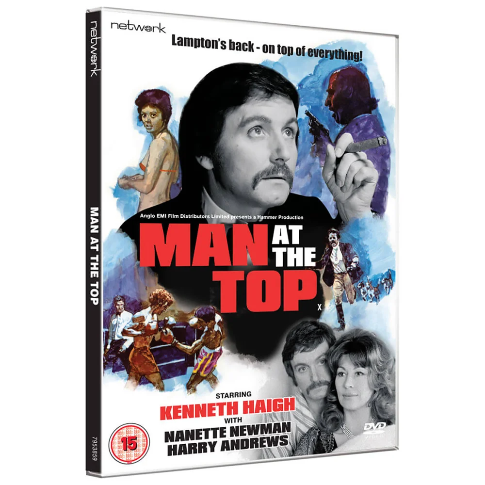 Man at the Top Image 1