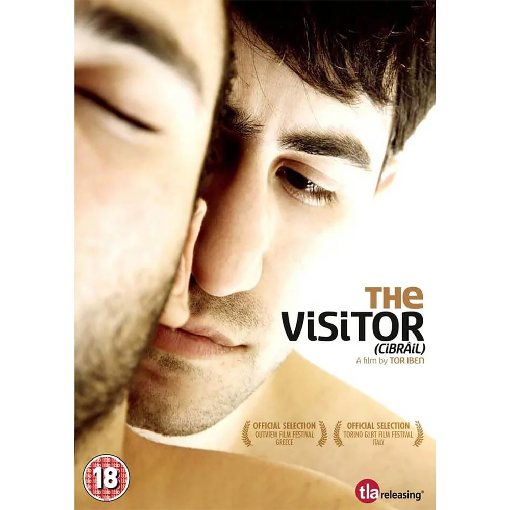 The Visitor Image 1