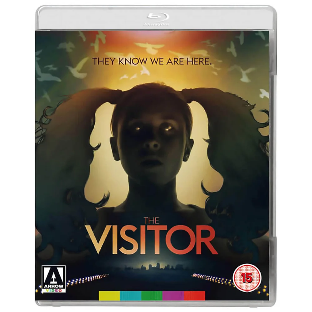 The Visitor Image 1