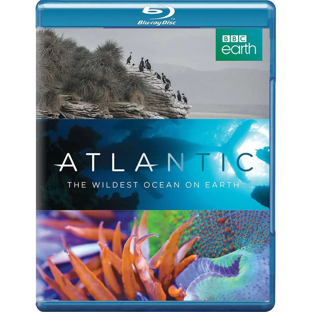 Atlantic: The Wildest Ocean on Earth Image 1