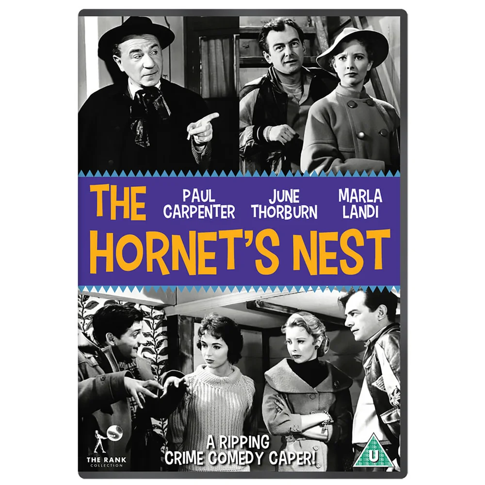 The Hornet's Nest Image 1