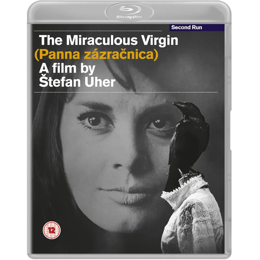 The Miraculous Virgin Image 1