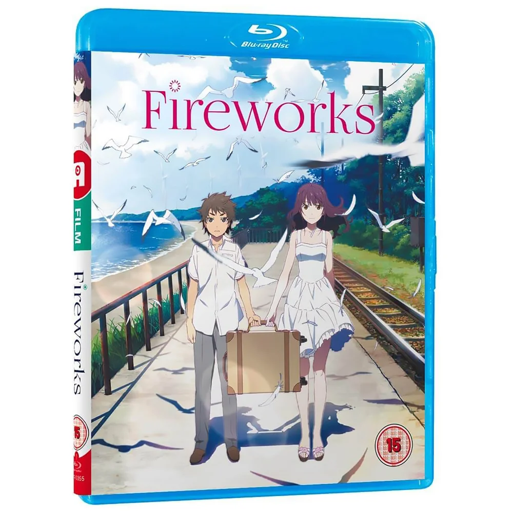 Fireworks - Standard Image 1