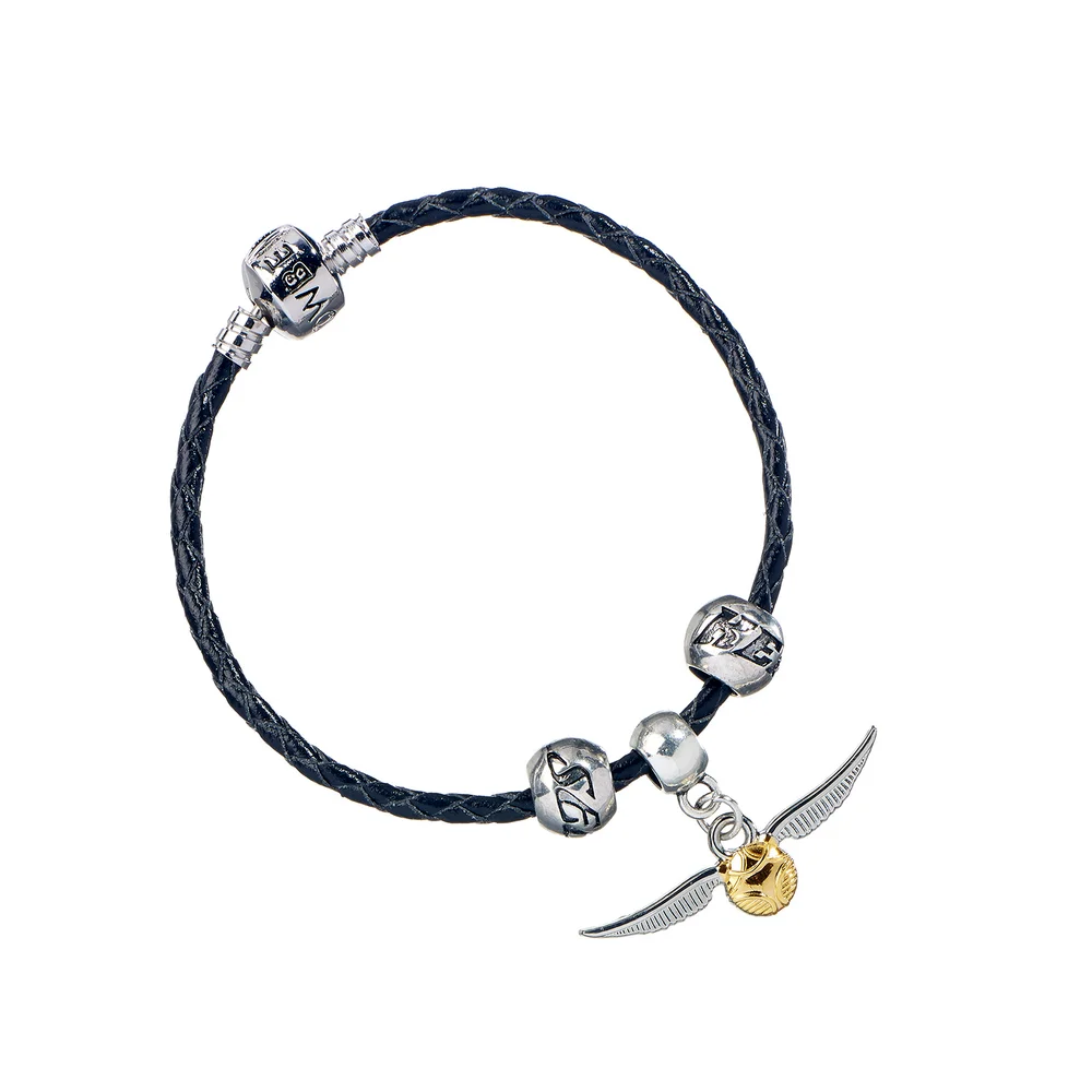Quidditch Set - Snitch/Keeper/Seeker & Bracelet Image 1
