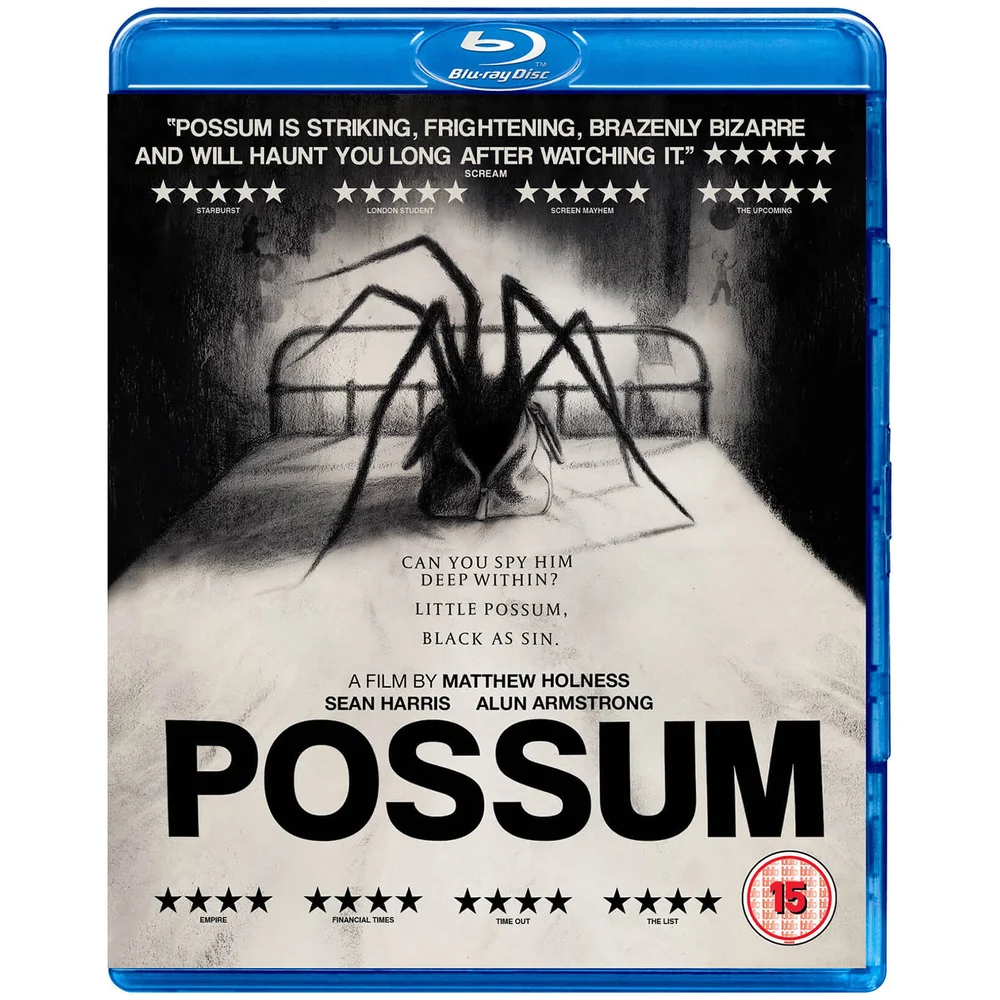 Possum Image 1