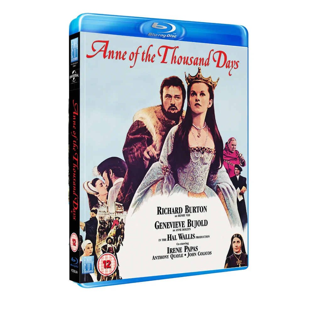 Anne of the Thousand Days Image 1