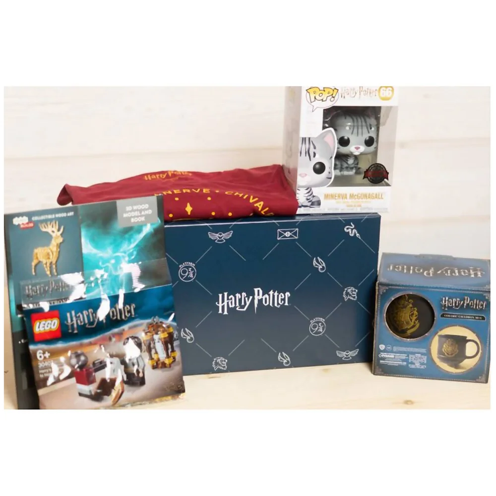 Wootbox Harry Potter feb19 Men's - XL FR Image 1