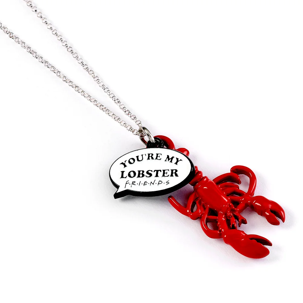 Friends You're My Lobster Charm Necklace Image 1