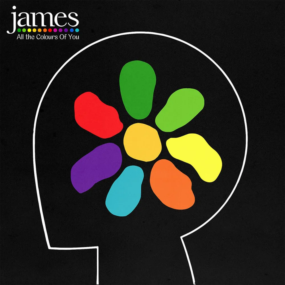 James – All The Colours Of You Vinyl 2LP Image 1