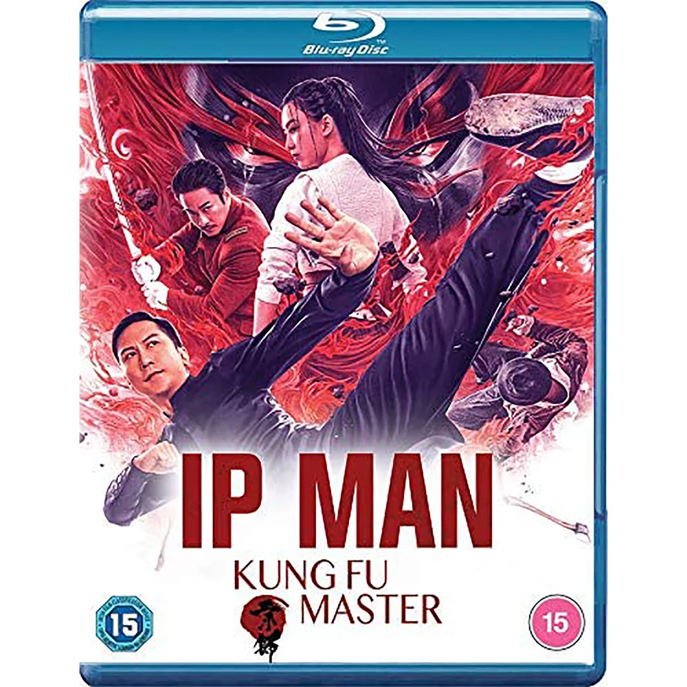 IP Man: Kung Fu Master Image 1