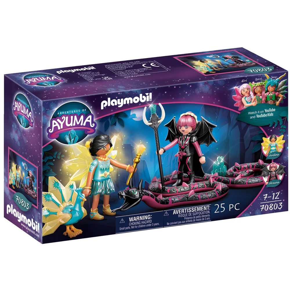 Playmobil Two Fairies with Two Spirit Animals (70803) Image 1