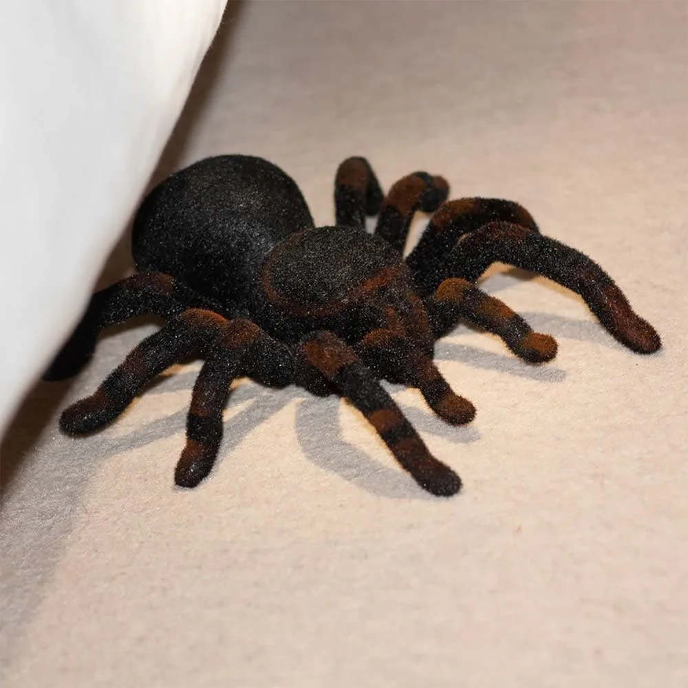 RC Tarantula Image 1