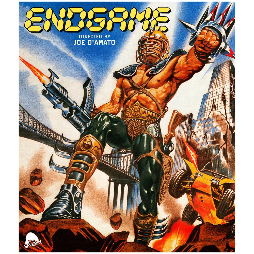 Endgame (Includes CD) (US Import) Image 1