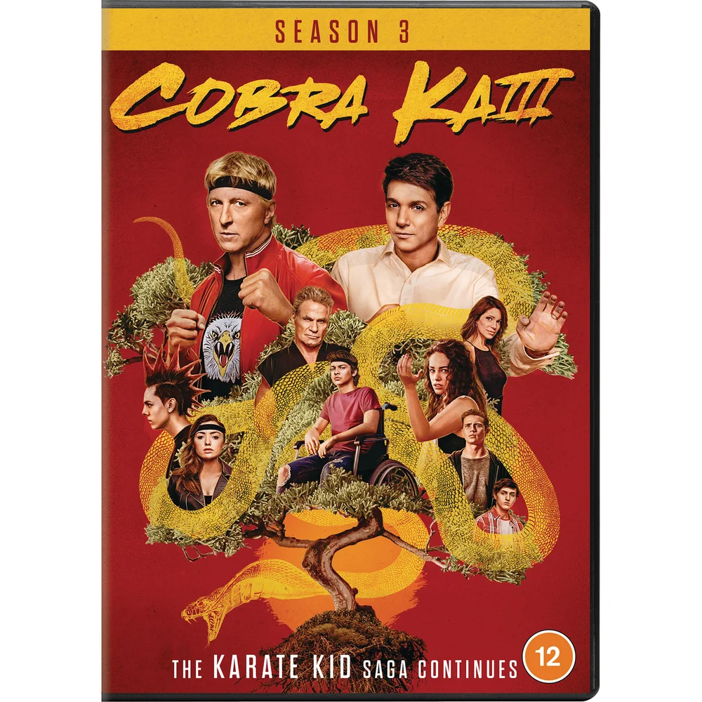 Cobra Kai - Seasons 03 Image 1