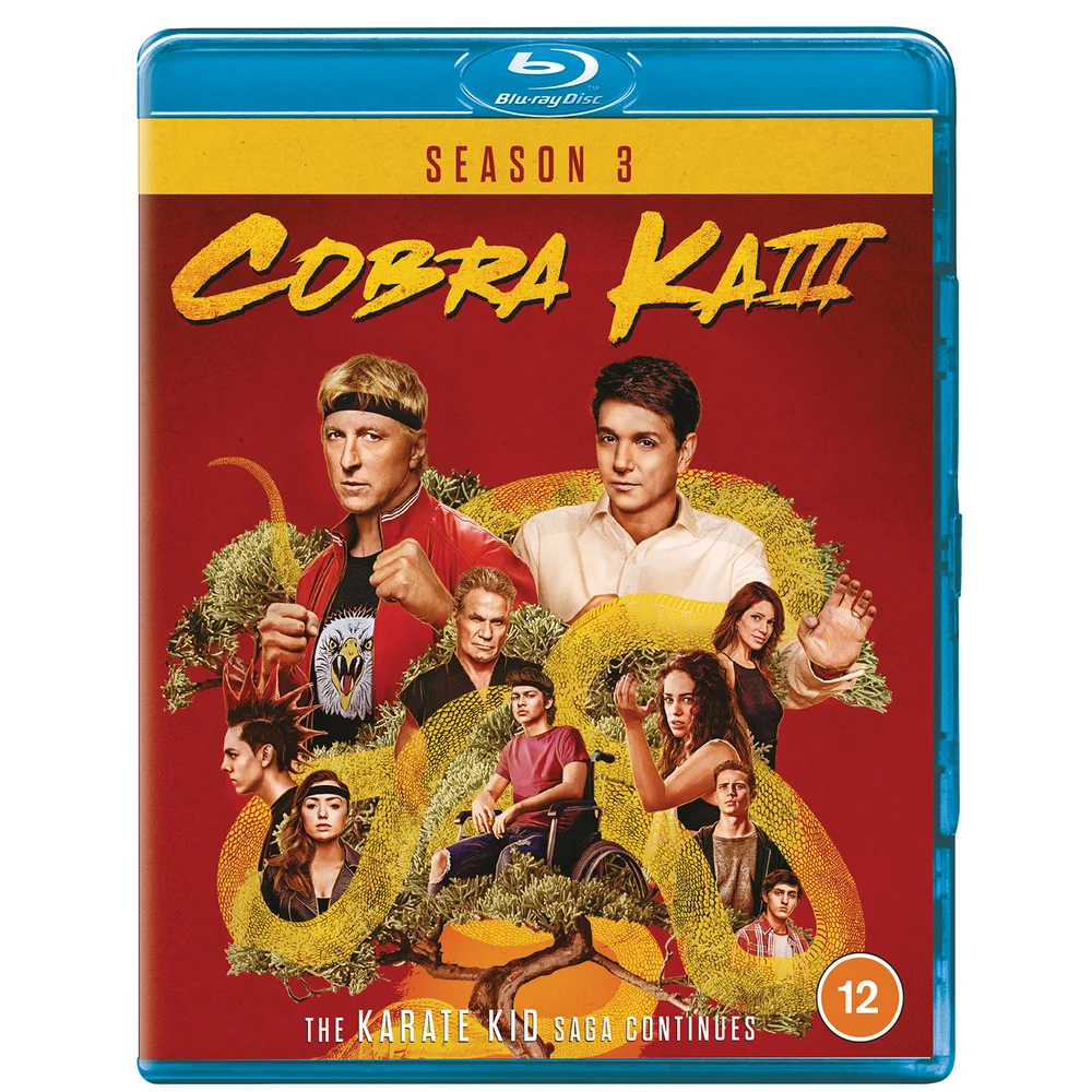 Cobra Kai - Seasons 03 Image 1