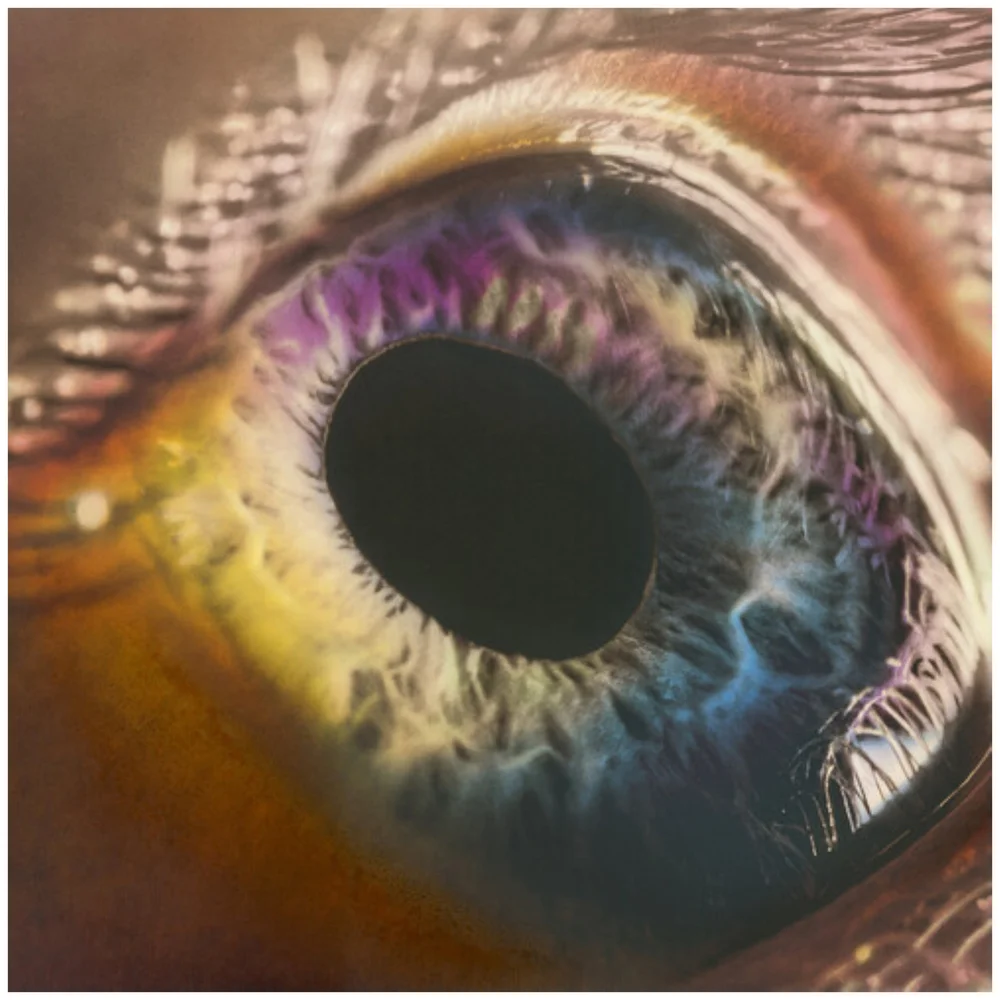 Arcade Fire - WE 180g Vinyl (White) Image 1