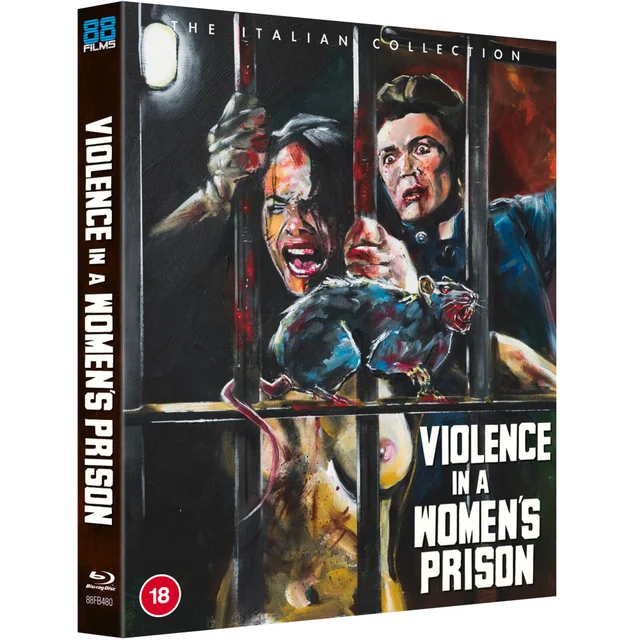 Violence In A Women's Prison