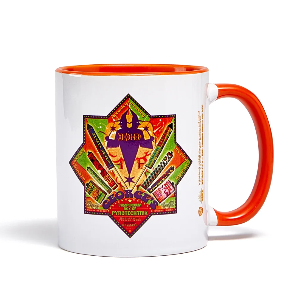 Decorsome x Harry Potter Compendium Mug - Orange Image 1