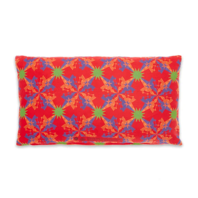 Harry Potter Compendium Rectangular Cushion