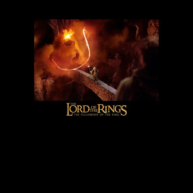 Lord Of The Rings You Shall Not Pass Men's T-Shirt - Black