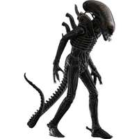 Hot Toys 1/6 Big Chap - Alien - undefined undefined