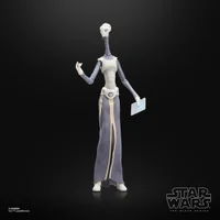 Hasbro Star Wars The Black Series Taun We Action Figure (6")