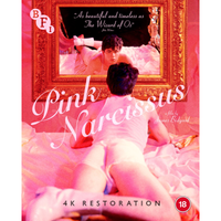 Pink Narcissus - undefined undefined