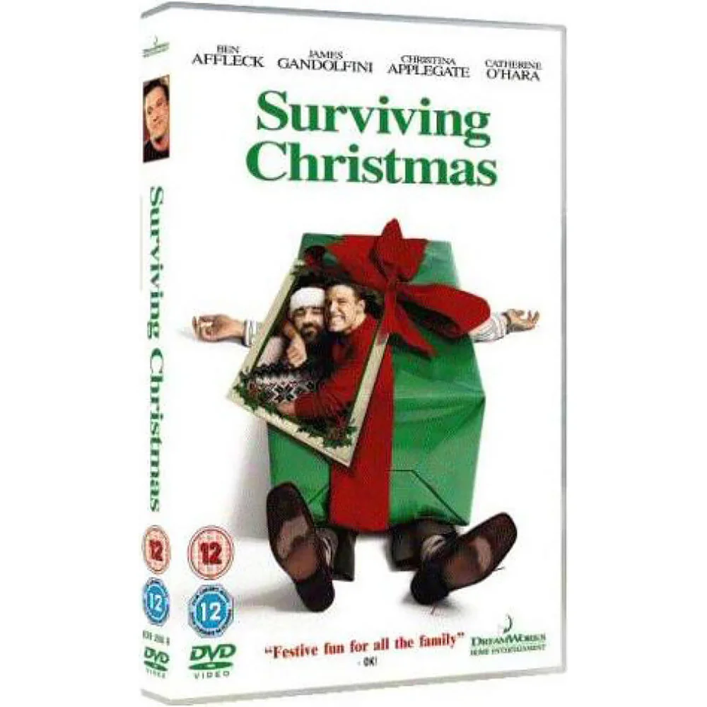 Surviving Christmas Image 1
