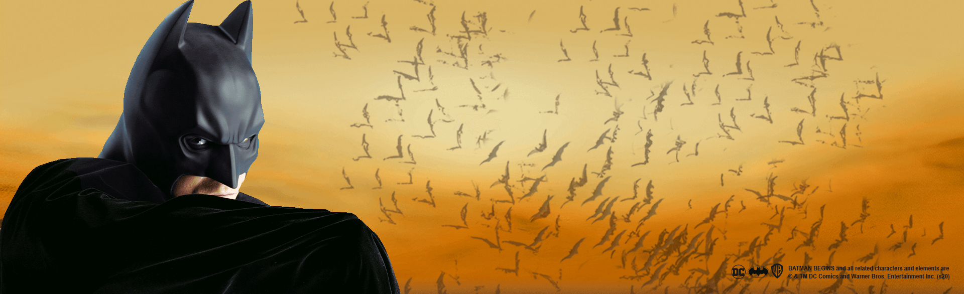 BATMAN BEGINS